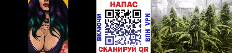 Купить где  Заволжск  Бошки Шишки сатива 